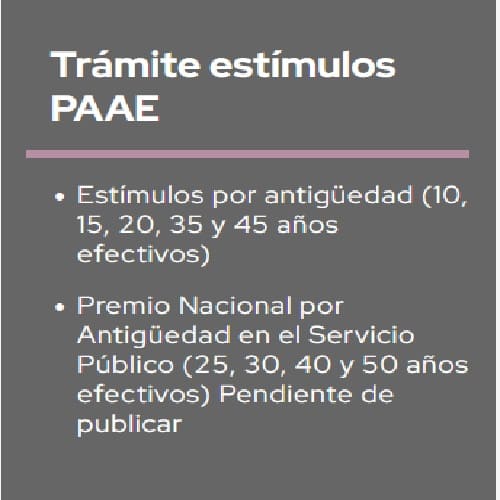 Tramite-estimulos-PAAE