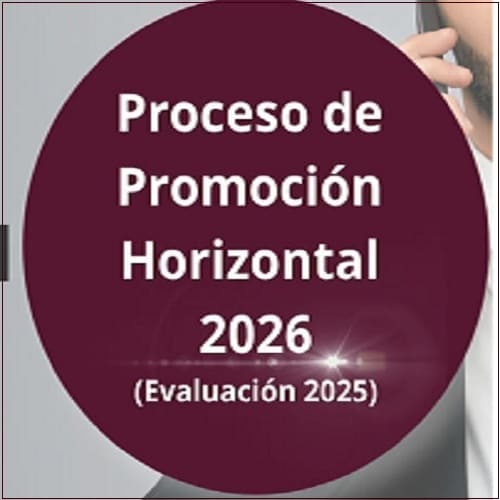 Promocion-Vertical-2025