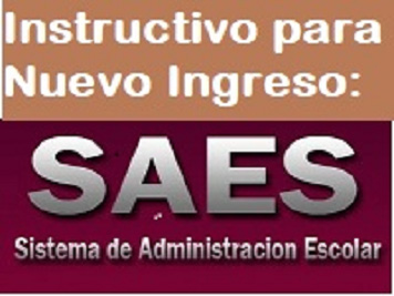 saes-ingreso