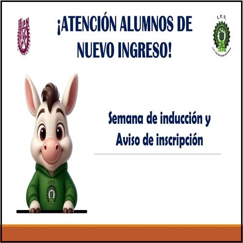 Induccion-271