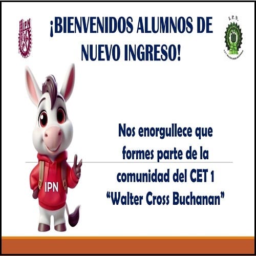 Nuevo-ingreso-271