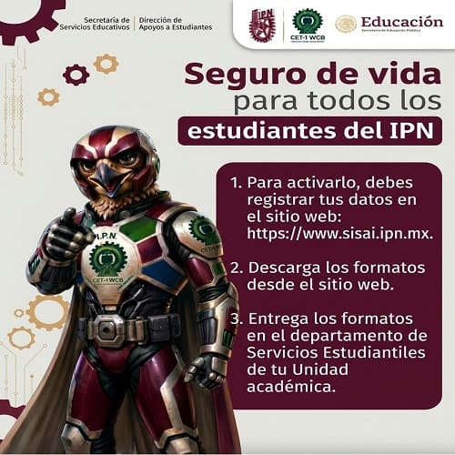 Seguro-Vida-26