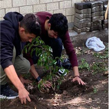 cuidado_areas_verdes